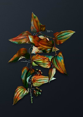 Vintage Common Smilax