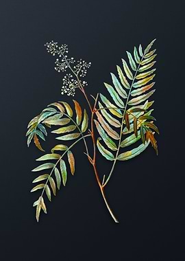 Vintage Peruvian Pepper