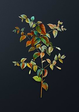 Vintage Tree Fuchsia