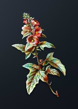 Vintage Tree Mallow Flower