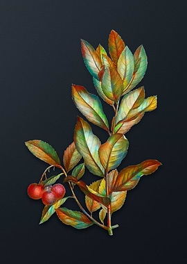 Strawberry Tree Branch