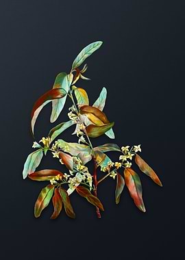 Vintage Russian Olive