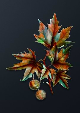 Vintage Old World Sycamore