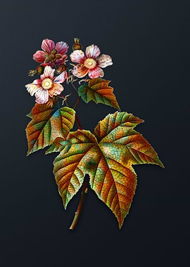 Purple Flowered Raspberry