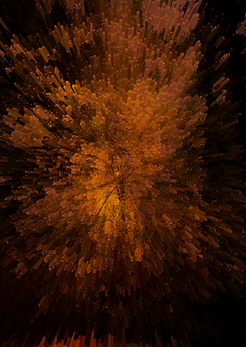 Abstract cooper forest