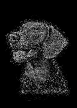 scribble art dog