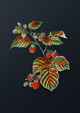 Vintage Raspberry Flower