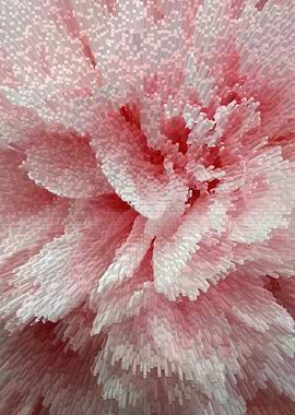 Abstract pastel pink rose