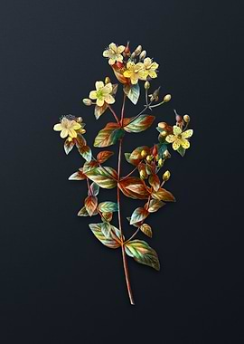 Vintage Stinking Tutsan