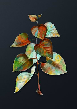 Vintage Quakingspen Flower