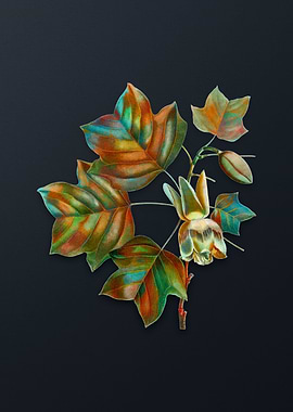 tage Tulip Tree Flower