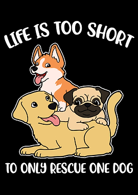 Only Rescue One Dog