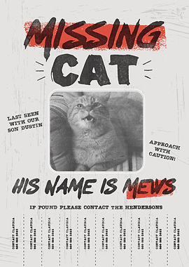 Missing Cat