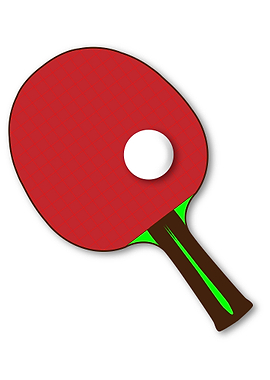 Table Tennis Bat