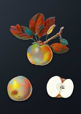 Vintage Apple on Dark Gray