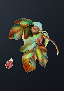 Vintage Fig on Dark Gray