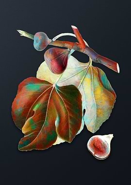 Vintage Black Fig on Gray