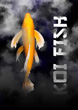 Koi Fish