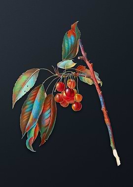 Vintage Cherry on Gray