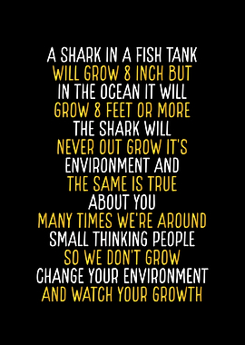 Shark in a fish tank