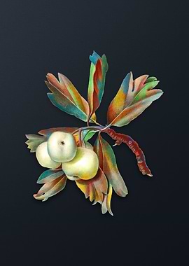 Vintage Hawthorne on Gray