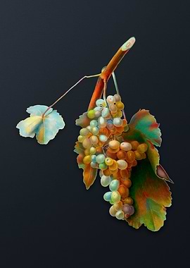 Vintage Grape Vine on Gray