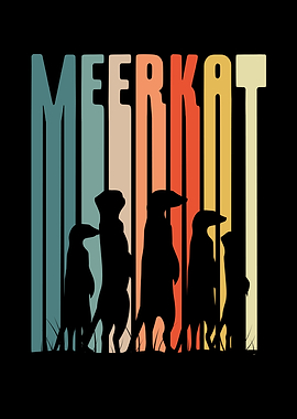 Colourful Meerkats