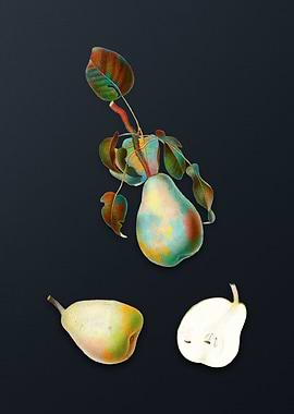 Vintage Winter Citron