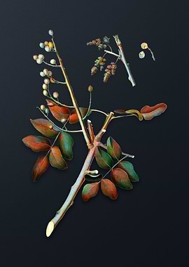 Vintage Pistachio on Gray