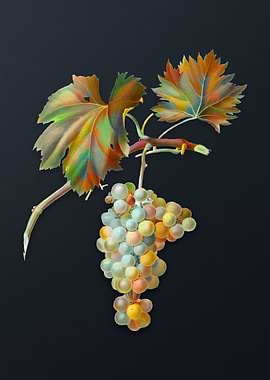 Vintage Grape Vine on Gray