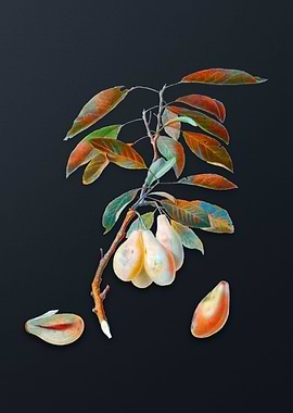 Vintage Plum on Dark Gray