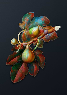 Vintage Fig on Dark Gray