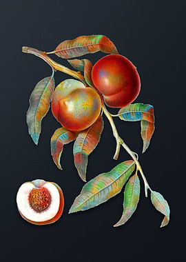 Vintage Walnut on Gray