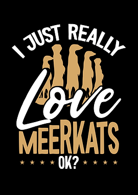 I just really love meerkat