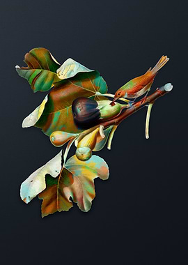 Fig Branch with Bird