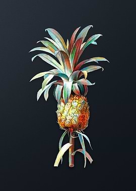 Vintage Pineapple on Gray