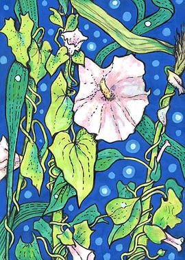 Bindweed Flowers and Reed