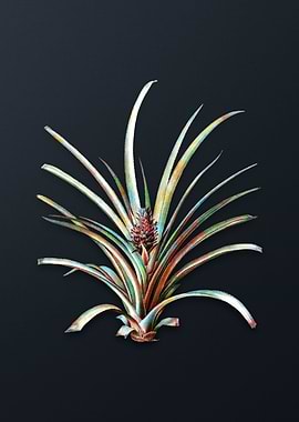 Vintage Pineapple on Gray