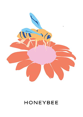 Sunflower and honey bee