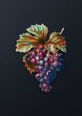 Vintage Grape Vine on Gray