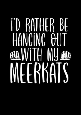 Hanging out with meerkats