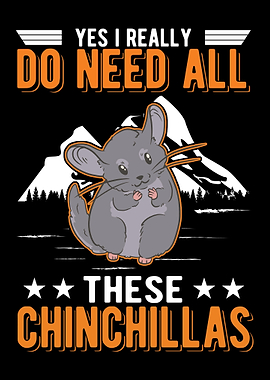 Chinchilla