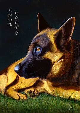 German Shepherd