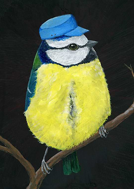 Mr Bluetit