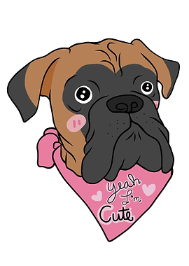 Boxer dog yeah I am cute