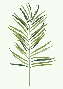 Tropical green palm leaf