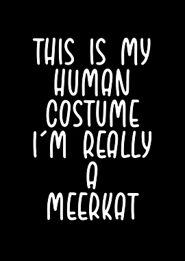 Human meerkat costume