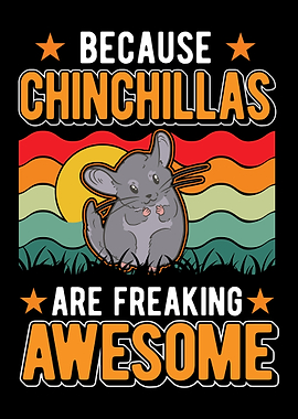 Chinchillas Are Awesome