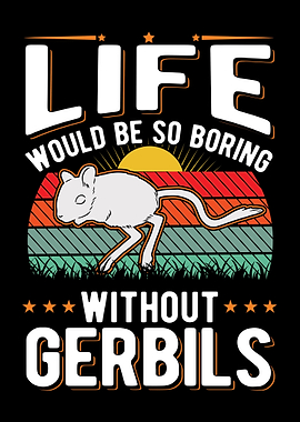 Gerbil Gift Racing Rat