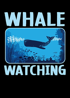 Whale Watching